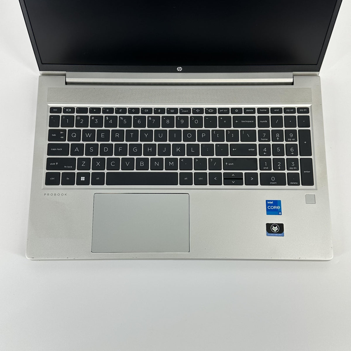 HP ProBook 450 G10 15.6 Silver 1.3 GHz Intel Core i5 13th Gen. 8GB RAM 256GB Solid State Drive